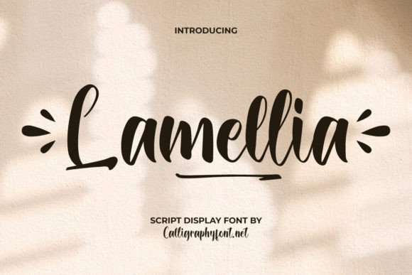 Lamellia: Integrating a Playful Script Display Font into Your Design Workflow